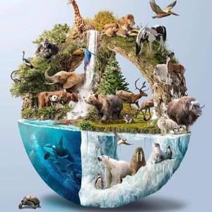 Meet your Posher, Melody